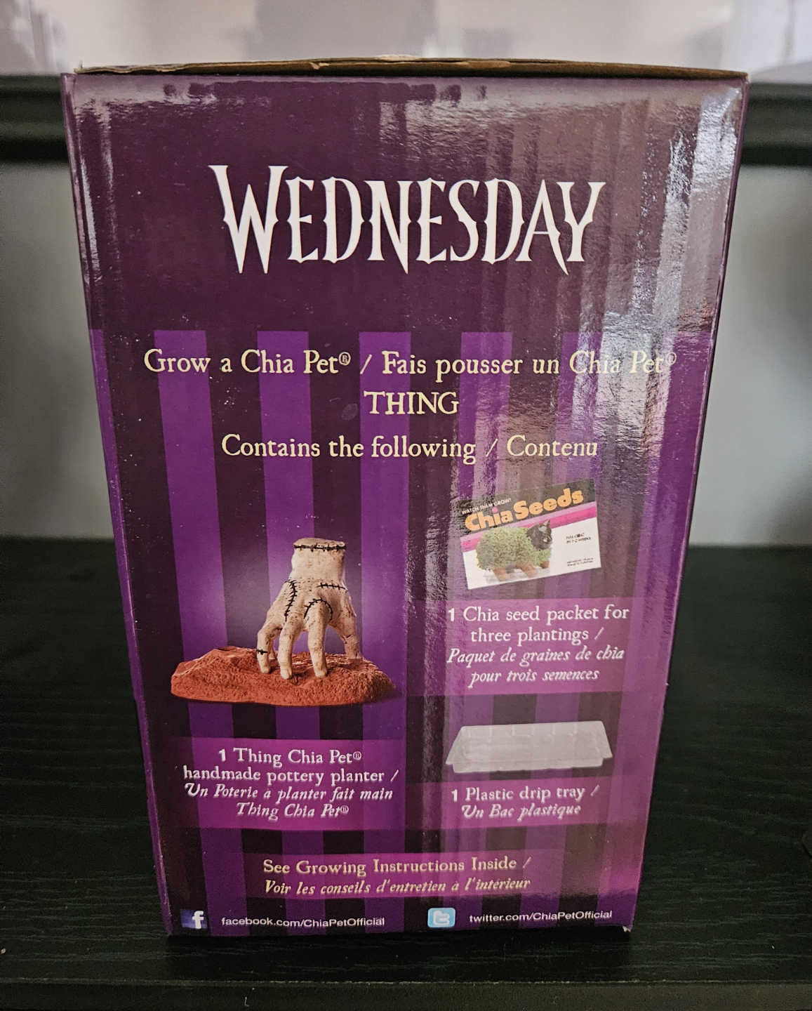 Wednesday Thing Chia Pet Planter - photo 3
