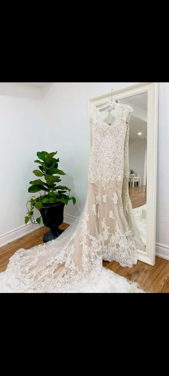 Stunning Off-the-Shoulder Lace Wedding Gown image indicator(3)