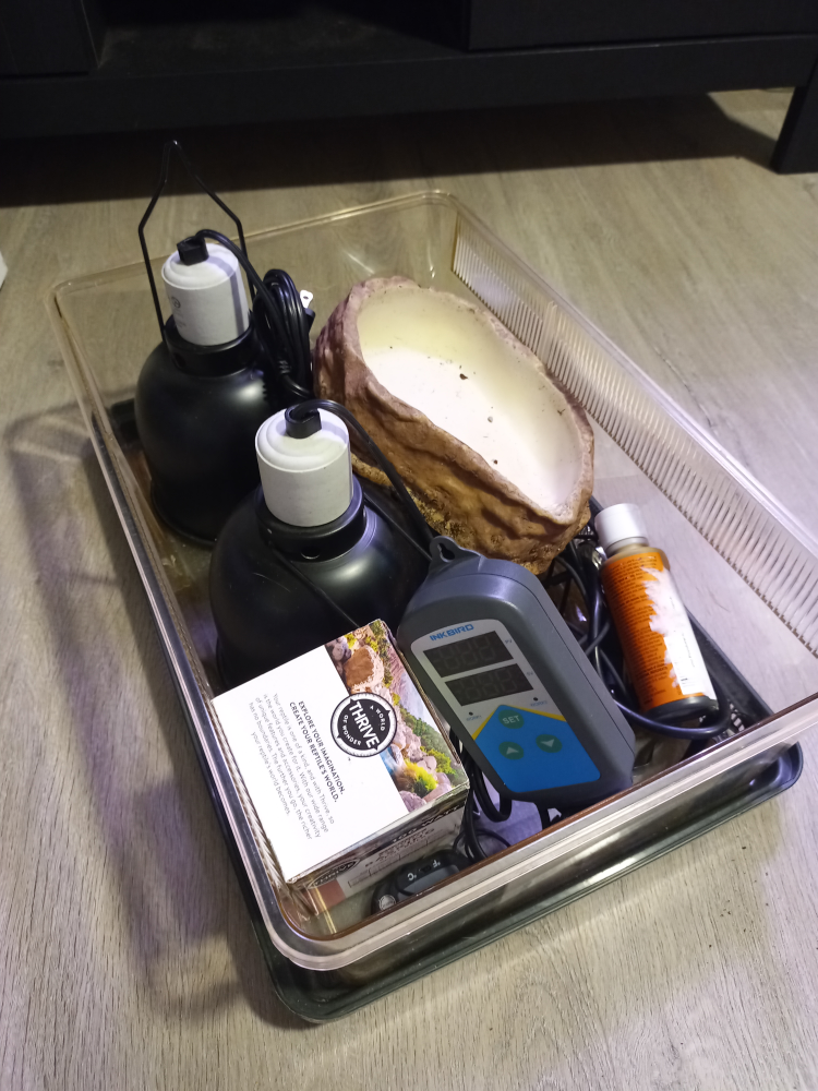 Reptile Habitat Starter Kit