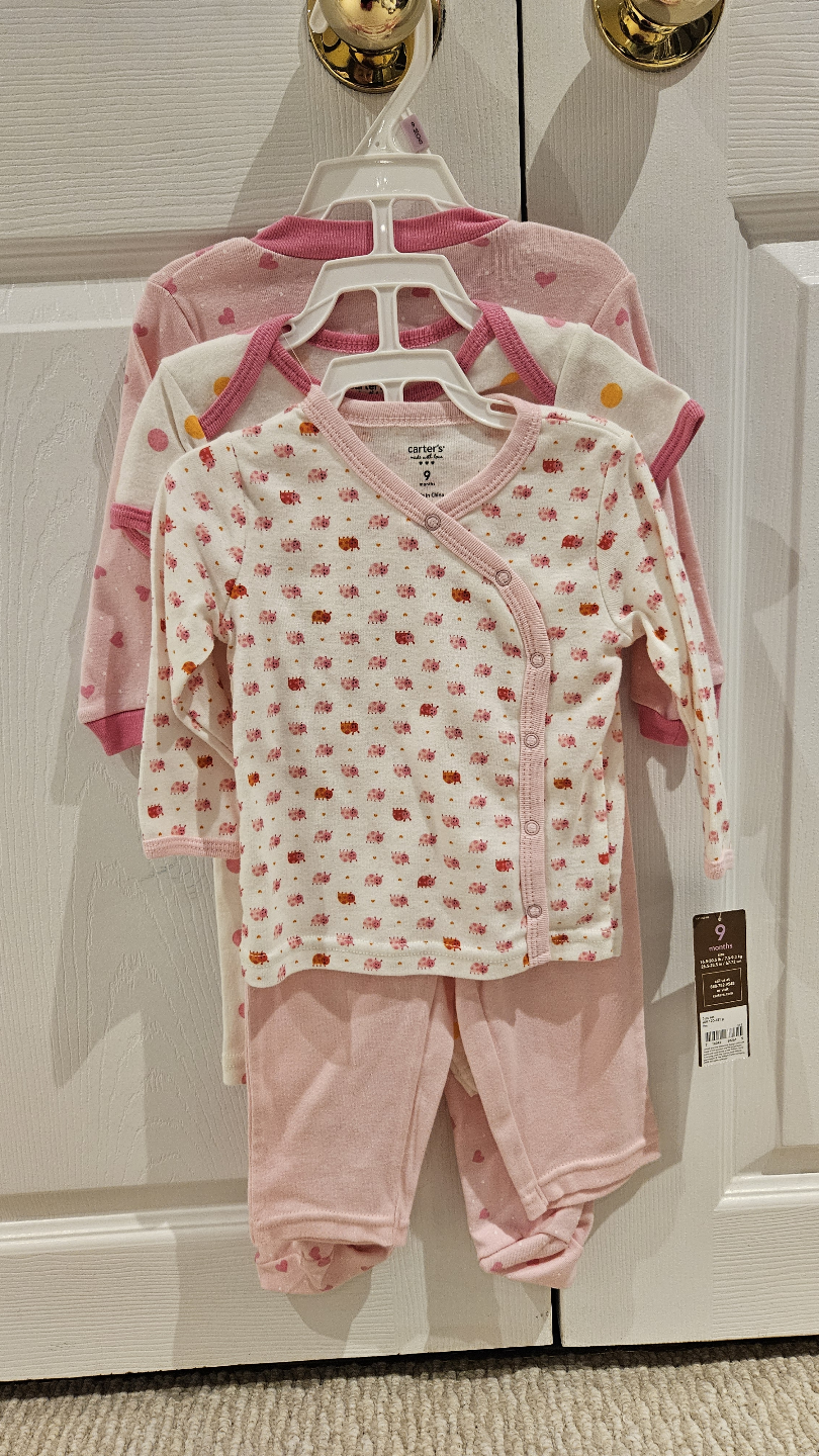 Carter's 5-piece Baby Girl's 9-Month Outfit Set