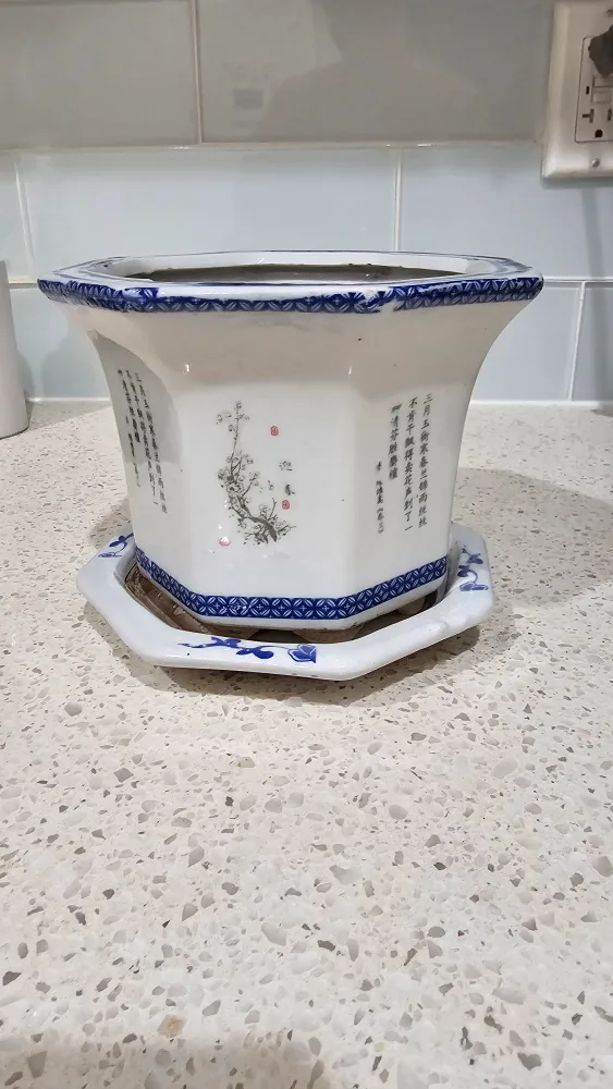  Octagonal Chinese Planter with Saucer 🥕💚 image indicator(2)