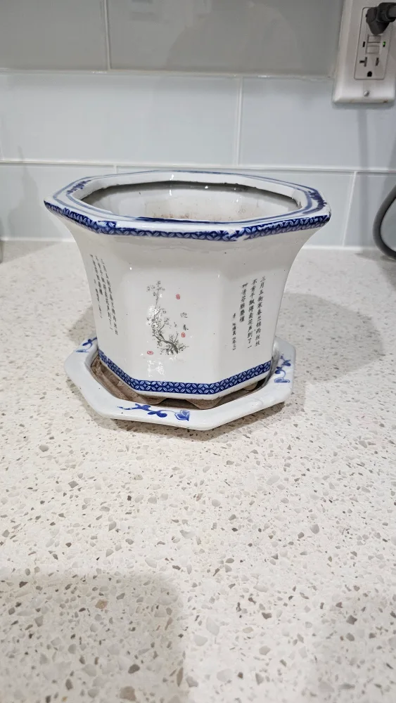  Octagonal Chinese Planter with Saucer 🥕💚 image indicator(3)