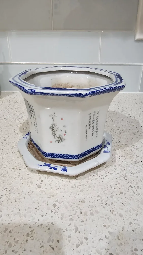  Octagonal Chinese Planter with Saucer 🥕💚 image indicator(4)