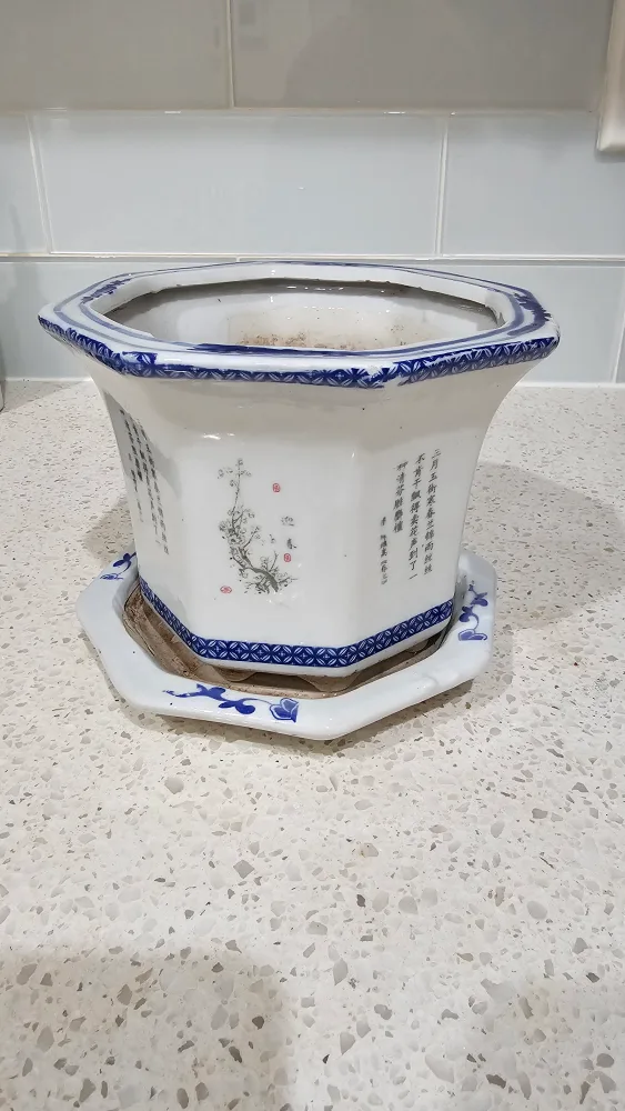  Octagonal Chinese Planter with Saucer 🥕💚 image indicator(5)