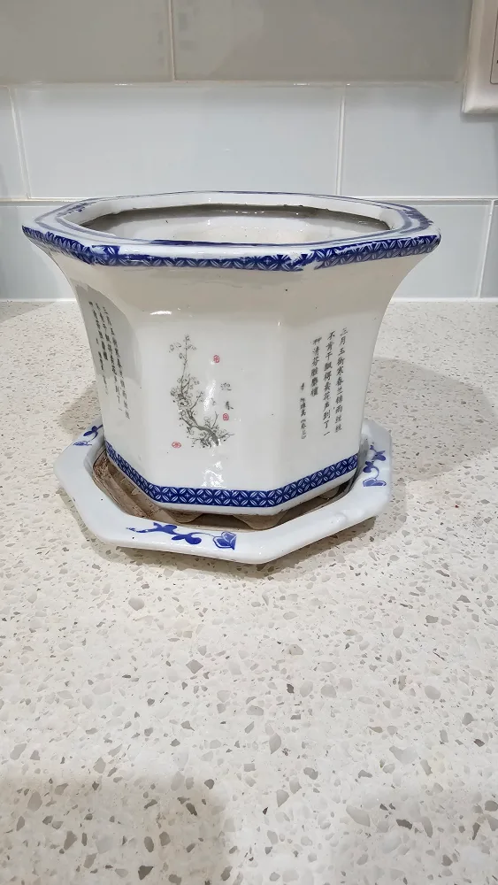  Octagonal Chinese Planter with Saucer 🥕💚 image indicator(6)