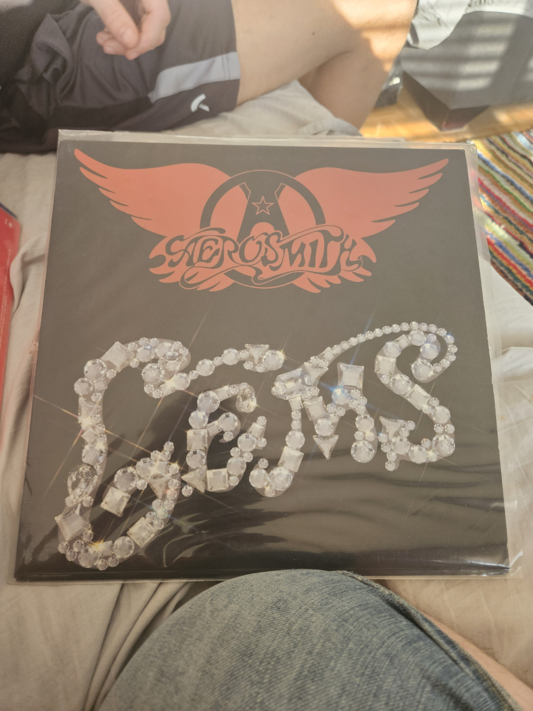 Aerosmith Gems Vinyl Record