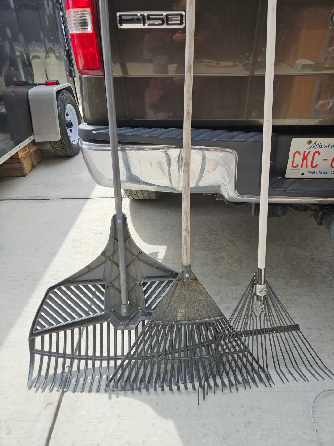 Three Rakes for Yard Work thumbnail