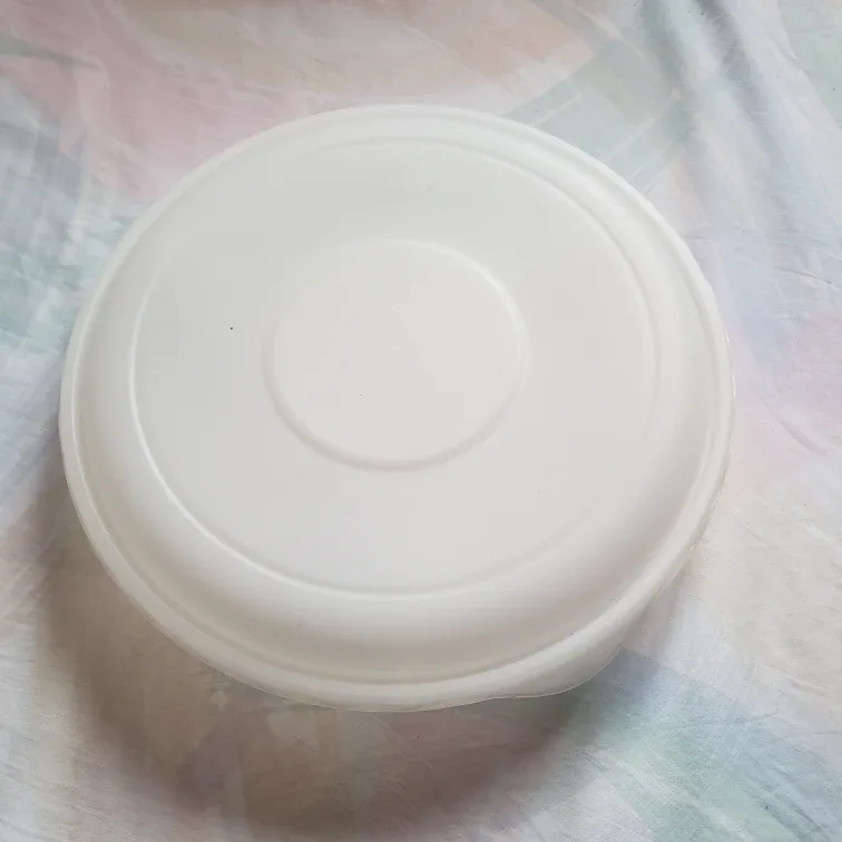 Portable Divided Serving Platter with Lid image indicator(3)