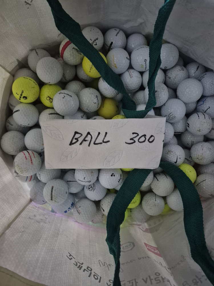 Bulk Used Golf Balls - 300 Balls or 100 ballsTotal