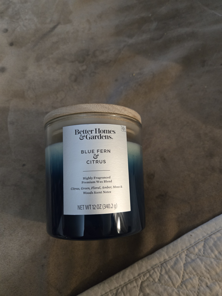 Better Homes & Gardens Blue Fern & Citrus Candle