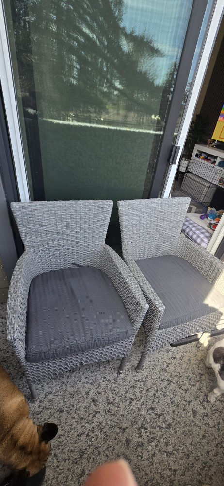 Pair of Outdoor Patio Chairs with Cushions