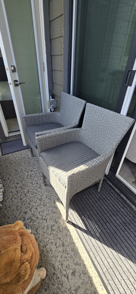 Pair of Outdoor Patio Chairs with Cushions - photo 2