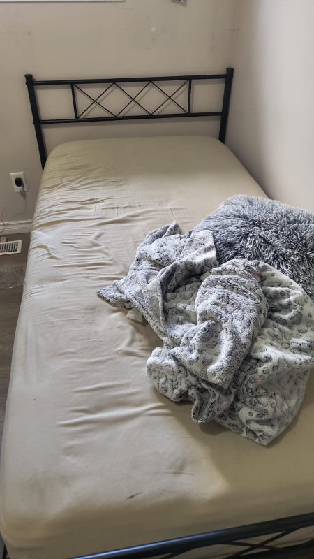 Black Metal Twin-Size Bed Frame