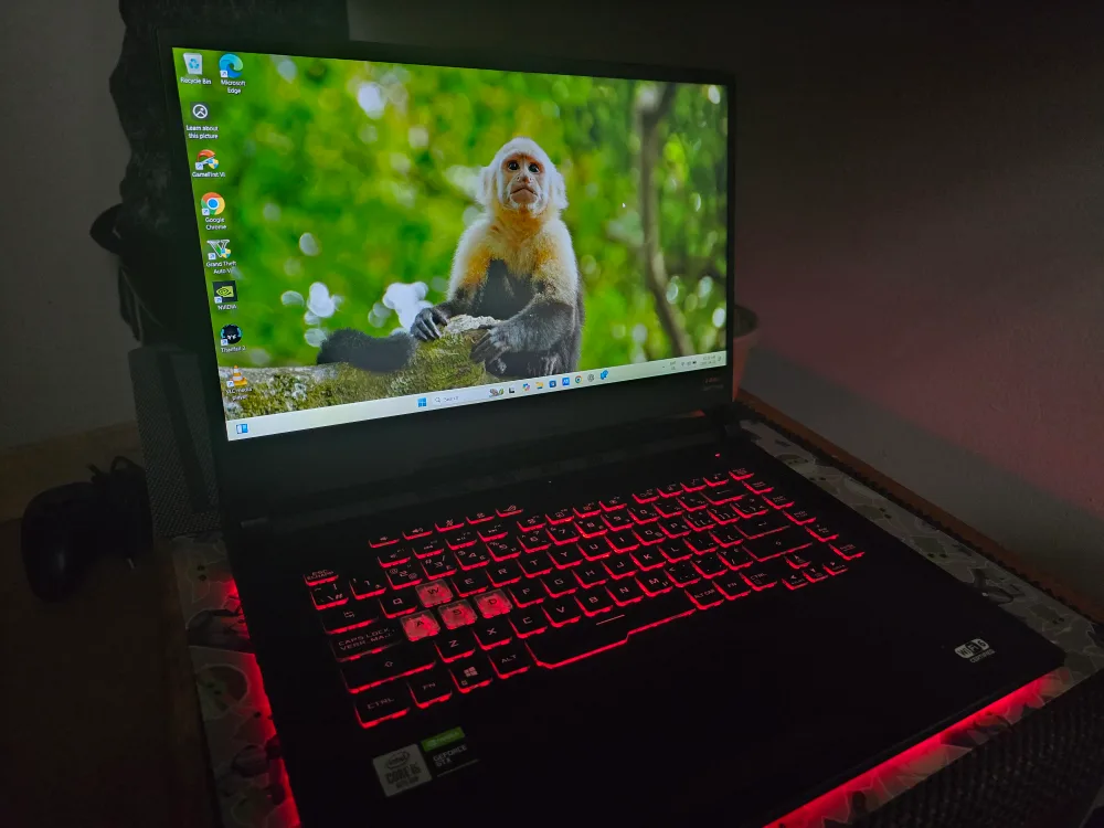 ASUS ROG Strix G512LI Gaming Laptop + Logitech Wired Controller image indicator(2)