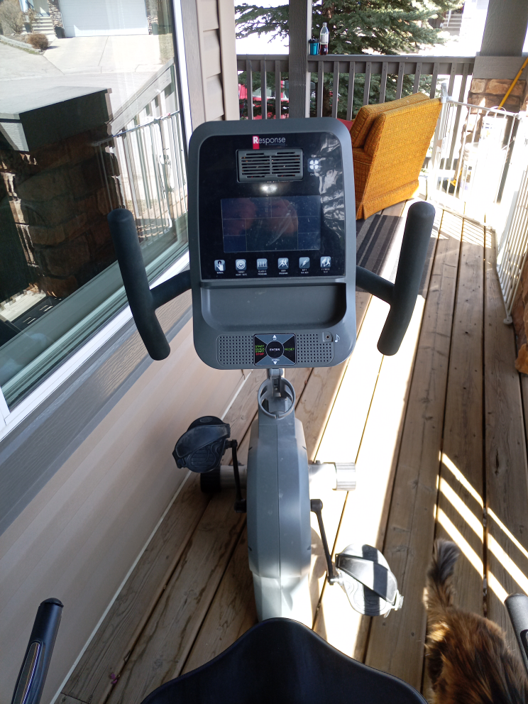 Response Recumbent Exercise Bike - photo 2