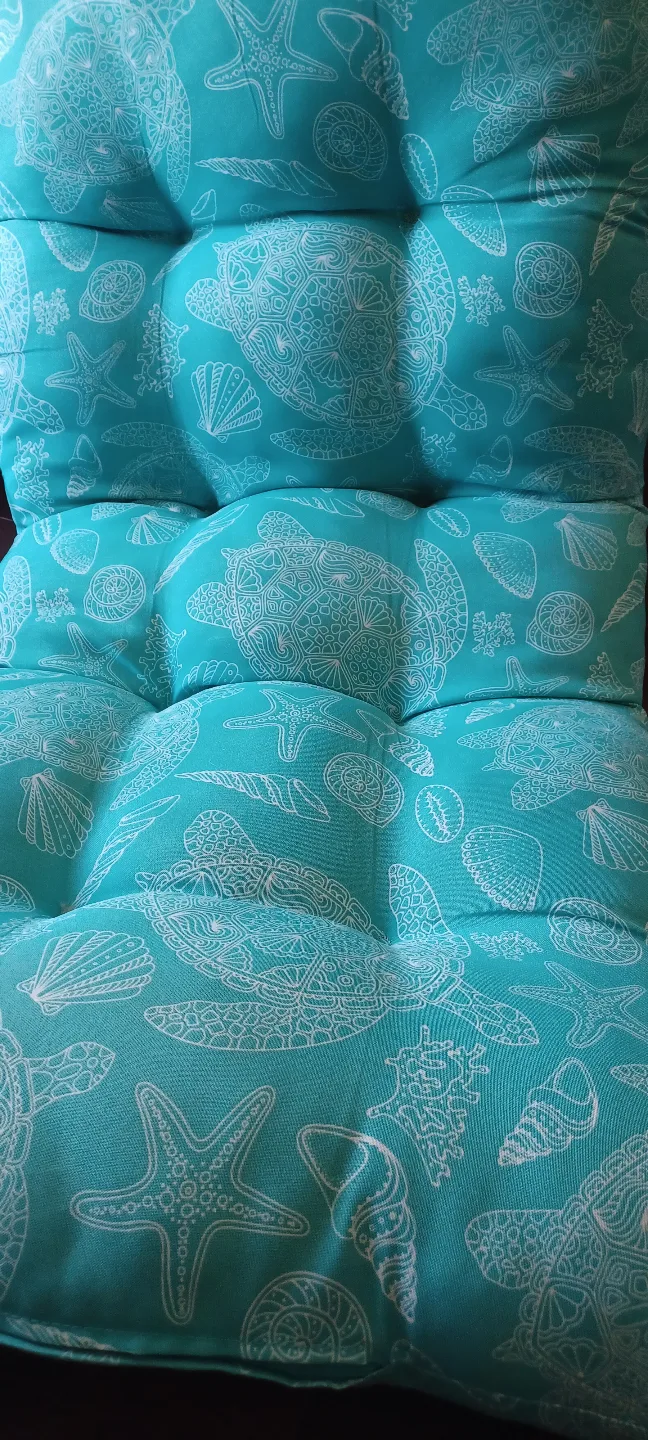 Outdoor Chair Cushion  with Throw Pillows image indicator(3)