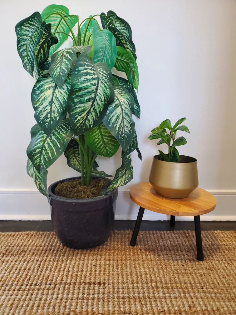 Round Plant Stand with Three Heights image indicator(4)