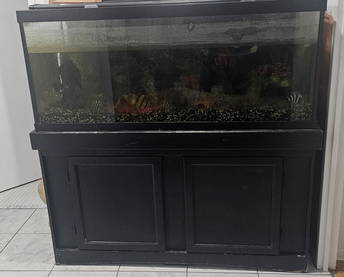 Used Aquarium Tanks with Stands - Various Sizes
