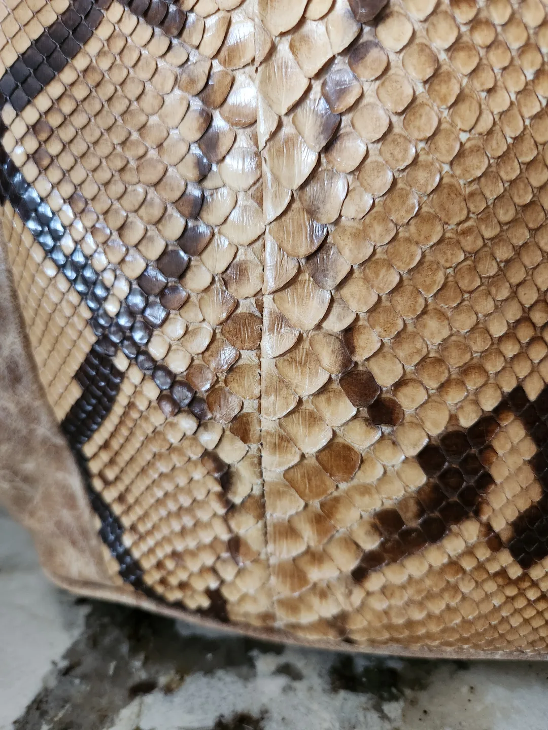 PYTHON Snakeskin Leather Handbag with Certificate image indicator(6)