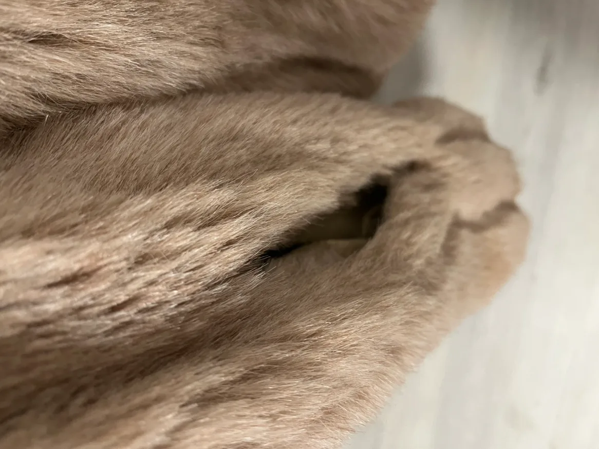 Beige Faux Fur Hooded Jacket image indicator(4)