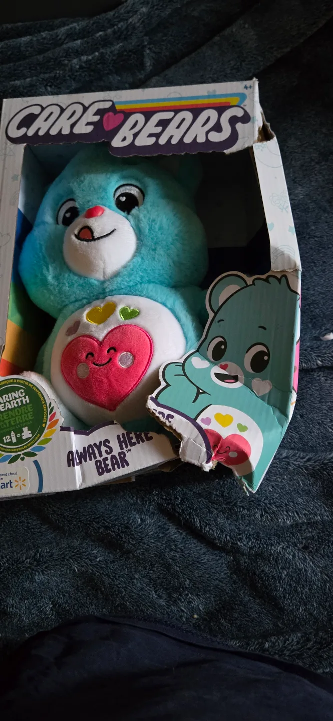 Care Bears Always Here Bear Plush Toy thumbnail