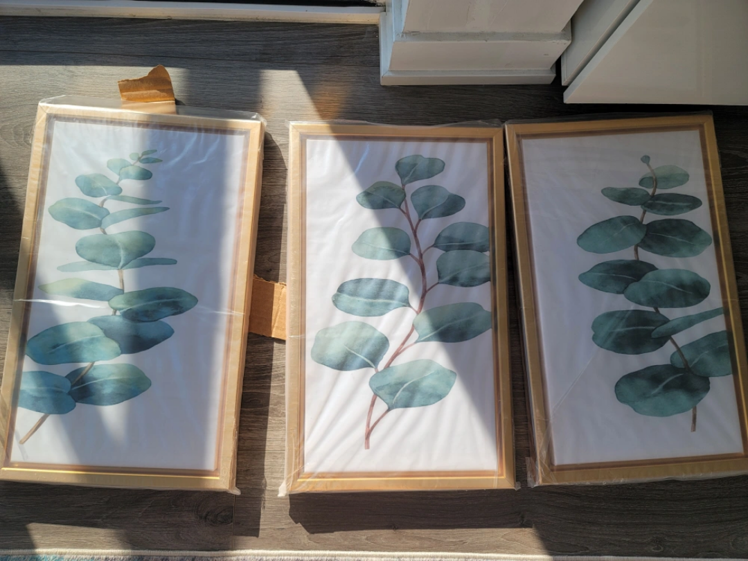 Set of three eucalyptus leaf framed wall art