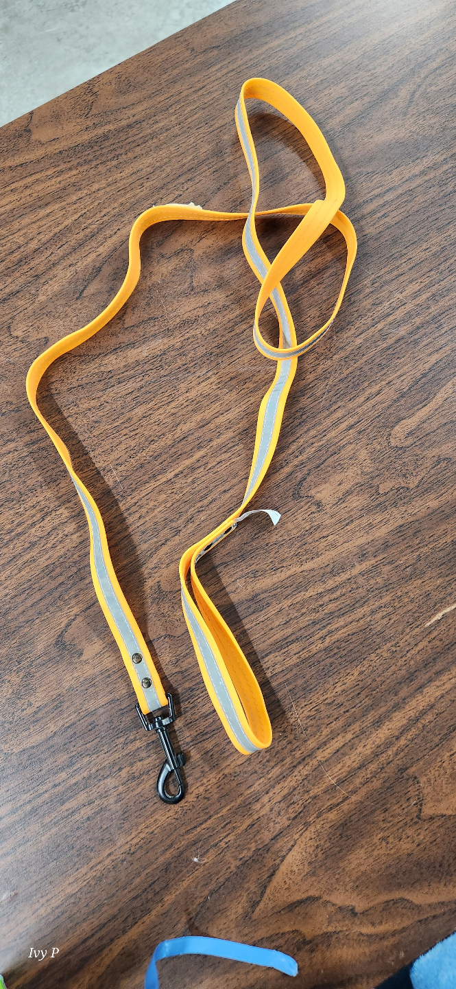 Bright Orange Dog Leash with Reflective Strip