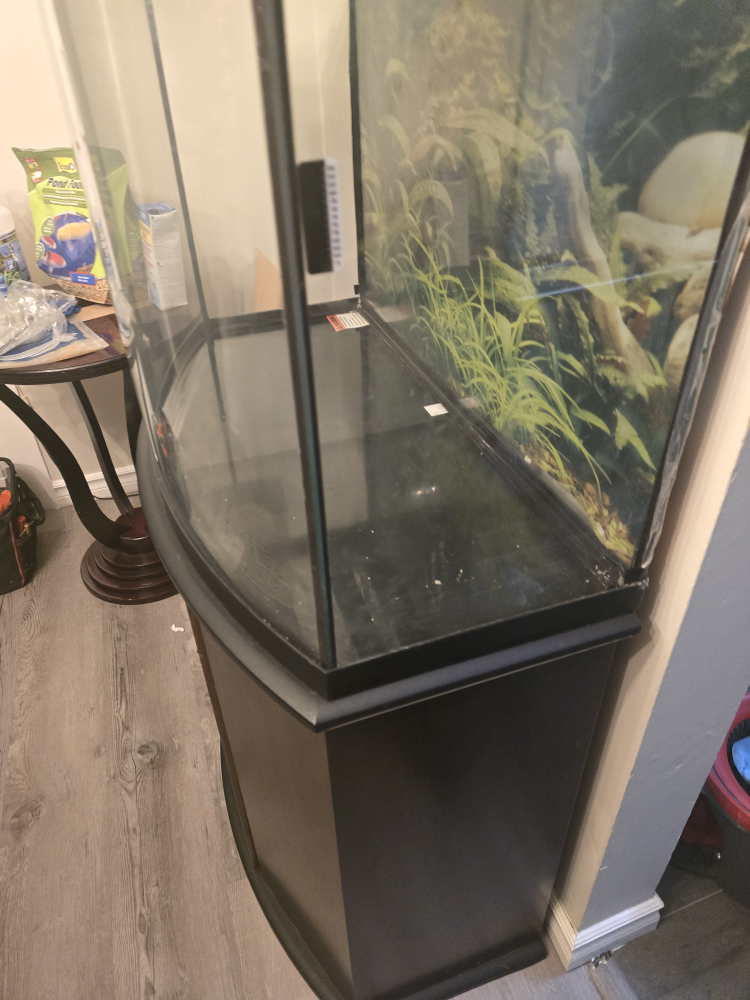 55 Gallon Bowfront Aquarium with Stand - photo 5