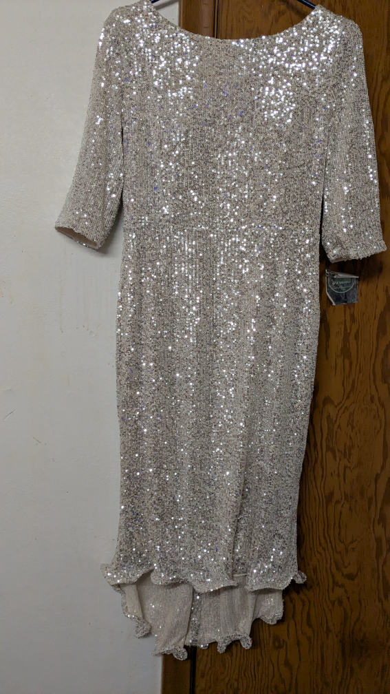 Stunning Silver Sequin Midi Dress