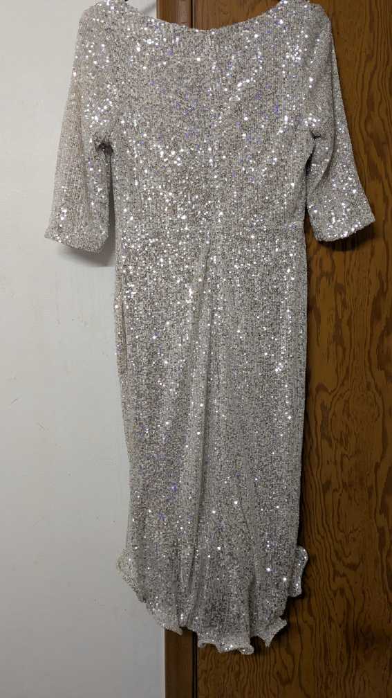 Stunning Silver Sequin Midi Dress - photo 2