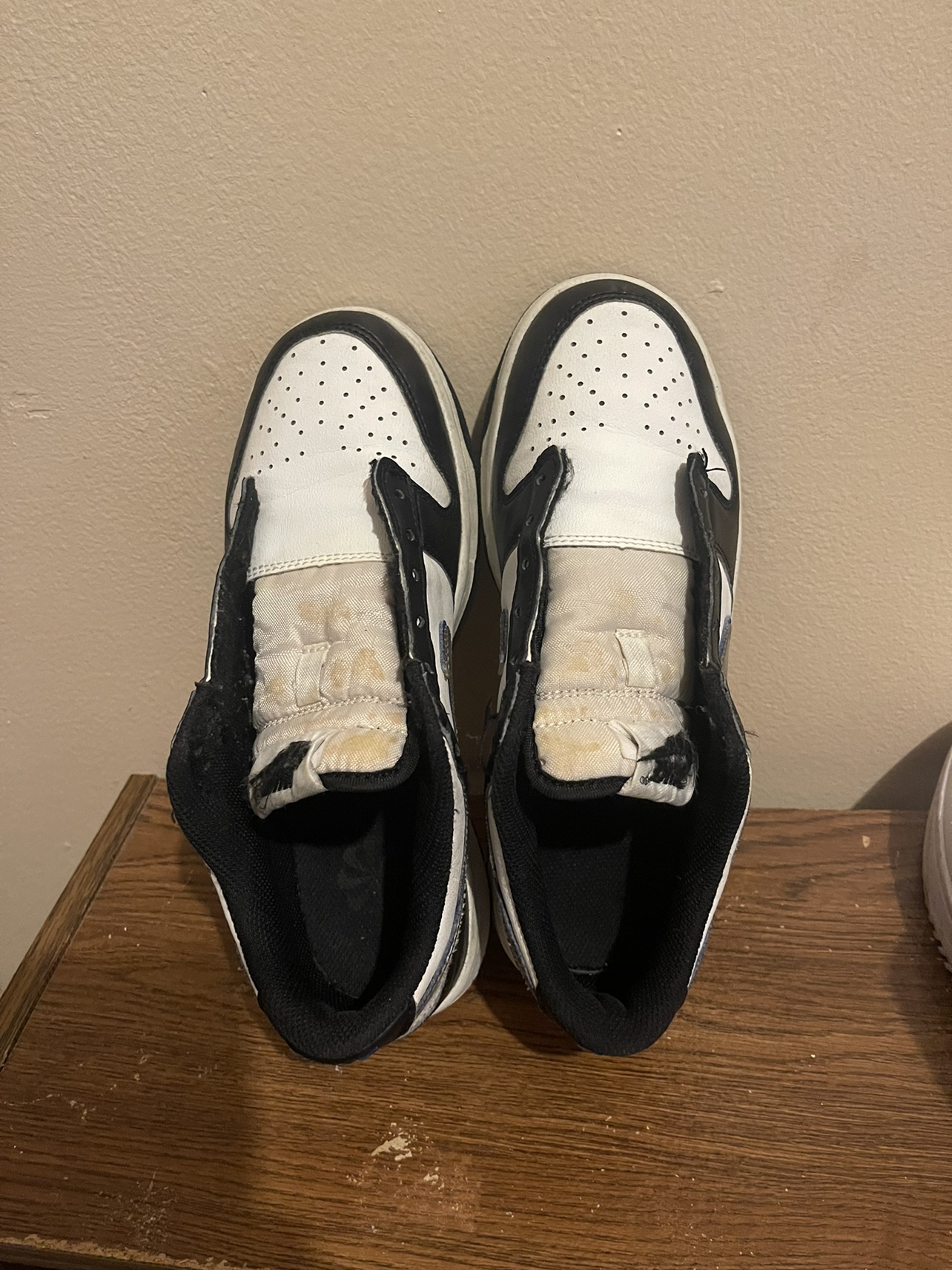 Nike Dunk Low SE