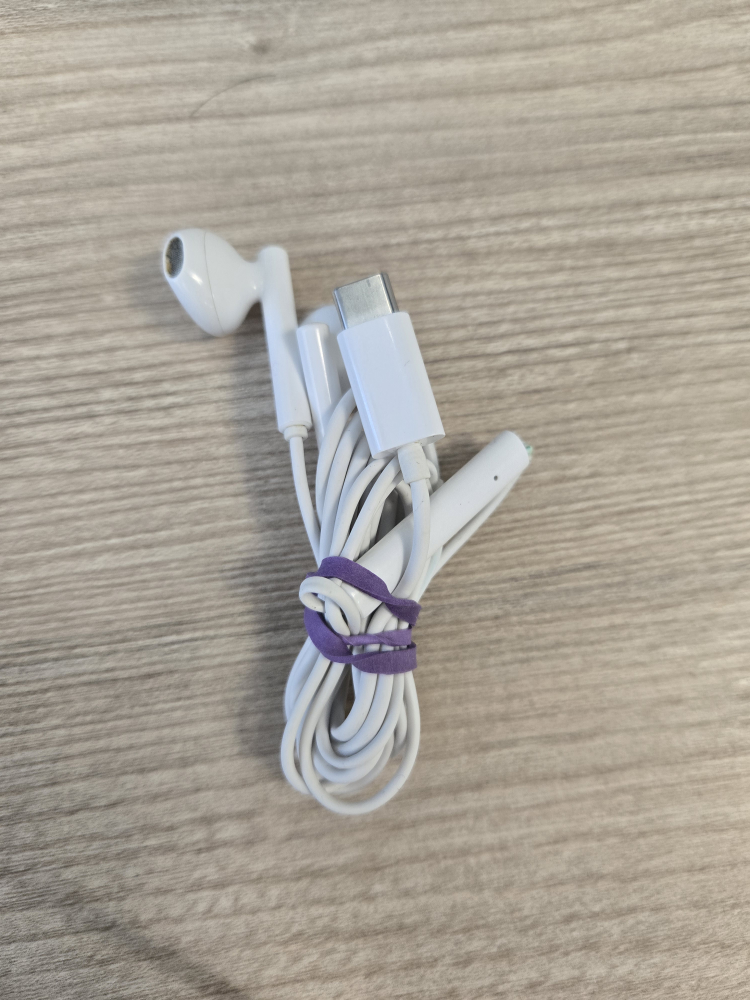 White USB-C Wired Earbuds 💚