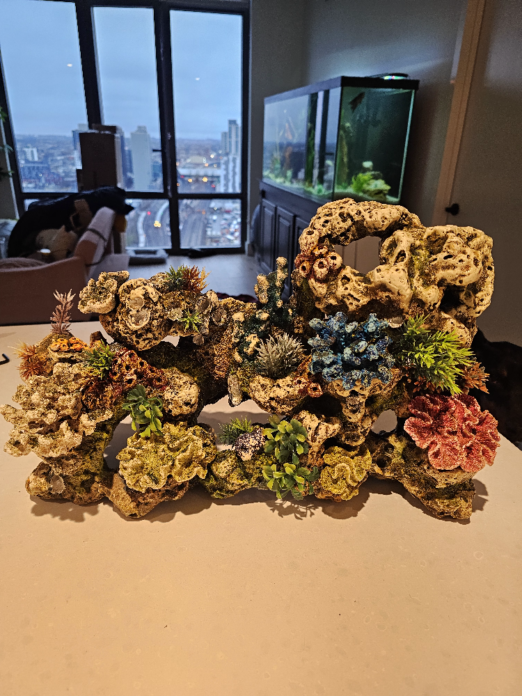 Aquarium Decorations - photo 3