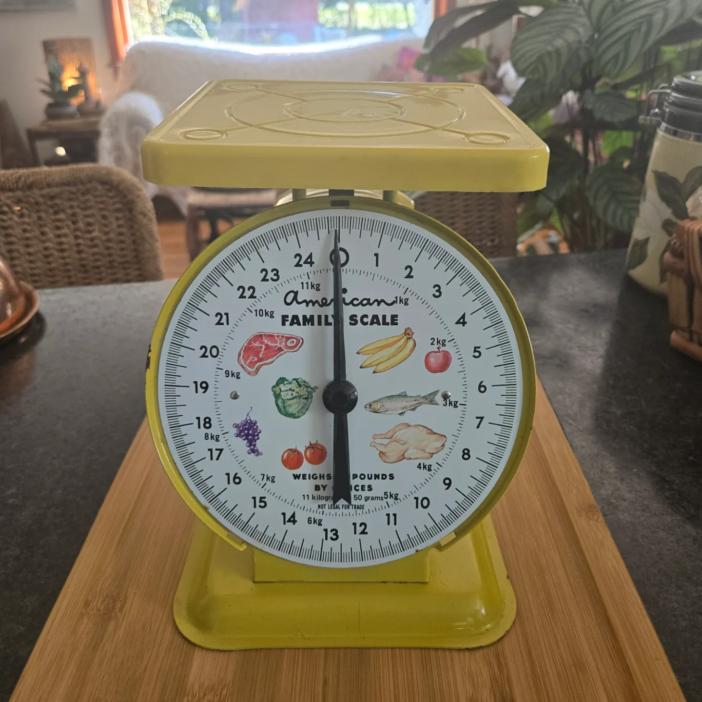 Vintage American Family Scale - Yellow thumbnail