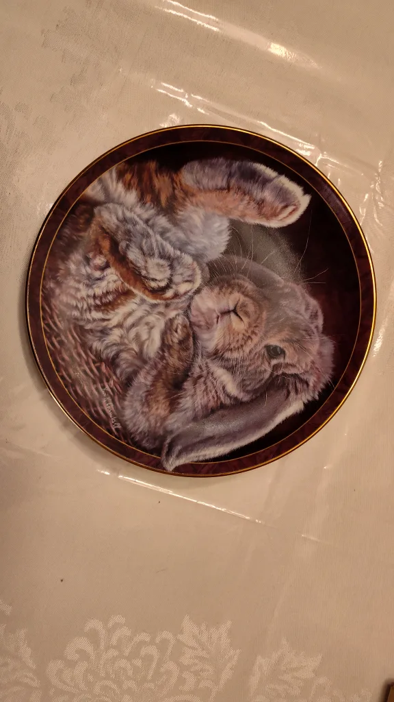 Bradford Exchange Bunny Tales Plate - Footloose image indicator(5)