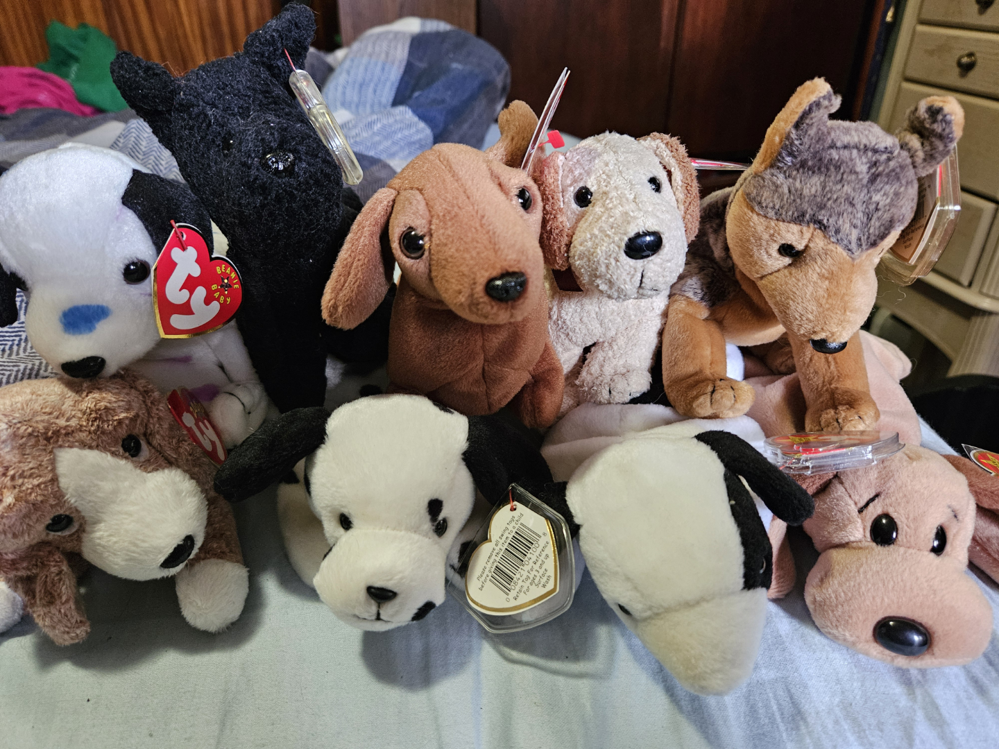 Beanie Baby Dogs