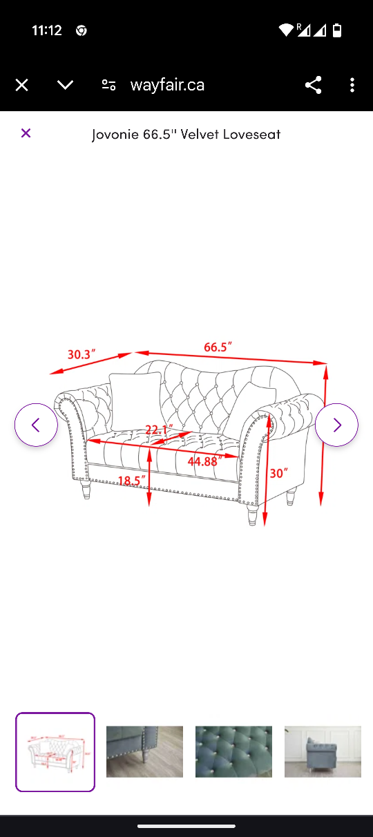 Jovanie 66.5" Velvet Loveseat - photo 2
