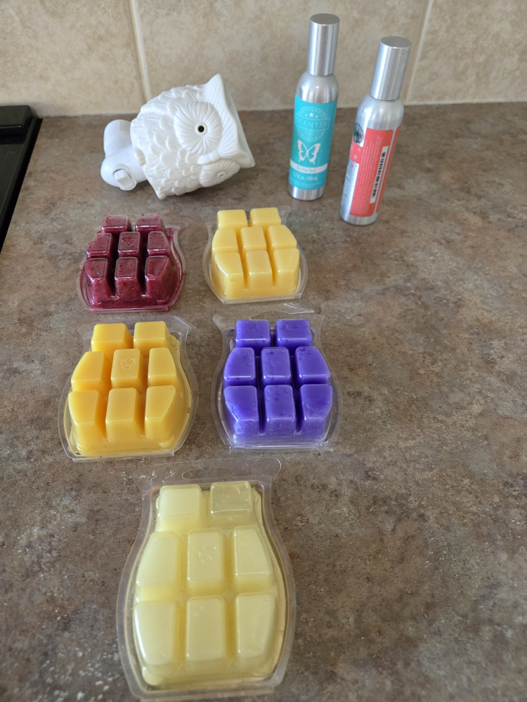 Scentsy Owl Warmer & Wax Melts Bundle