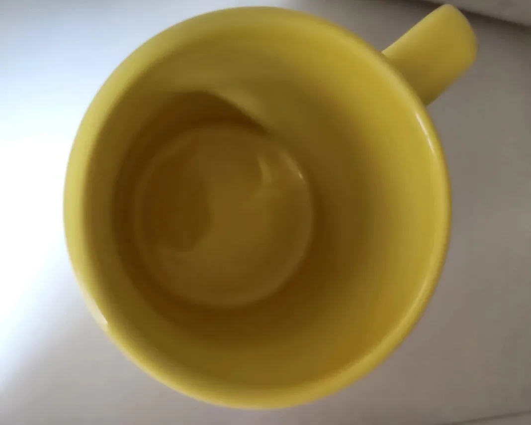 Disney - Princess Belle Mug - Beauty and the Beast 💚 image indicator(3)