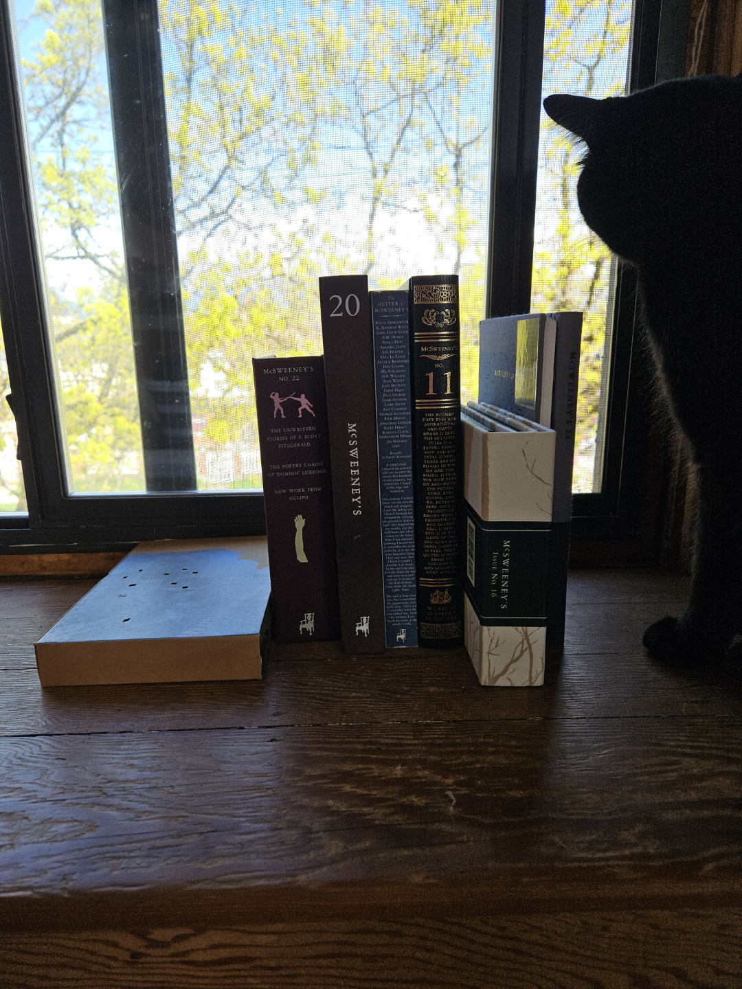McSweeney's Quarterly Concern