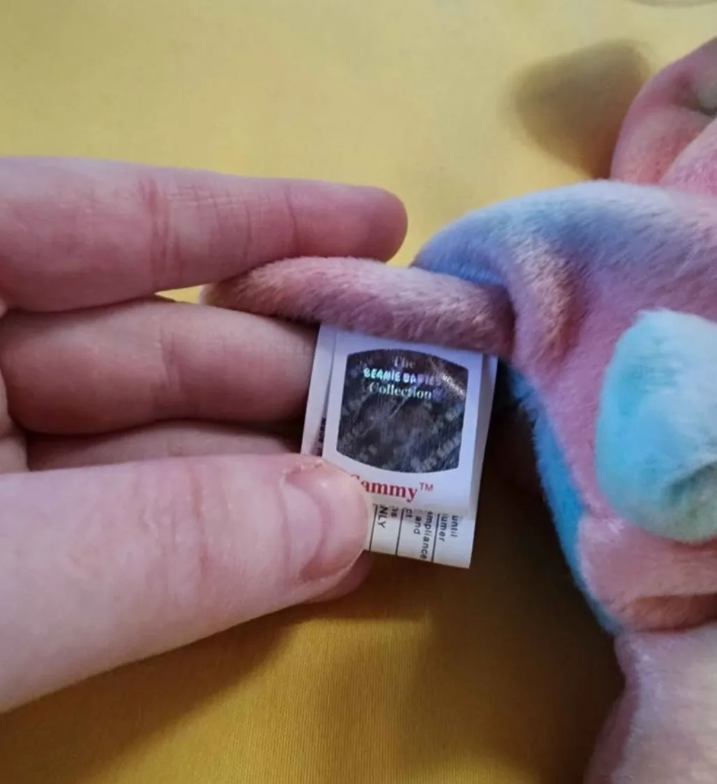 Ty Beanie Baby Sammy the Bear image indicator(6)