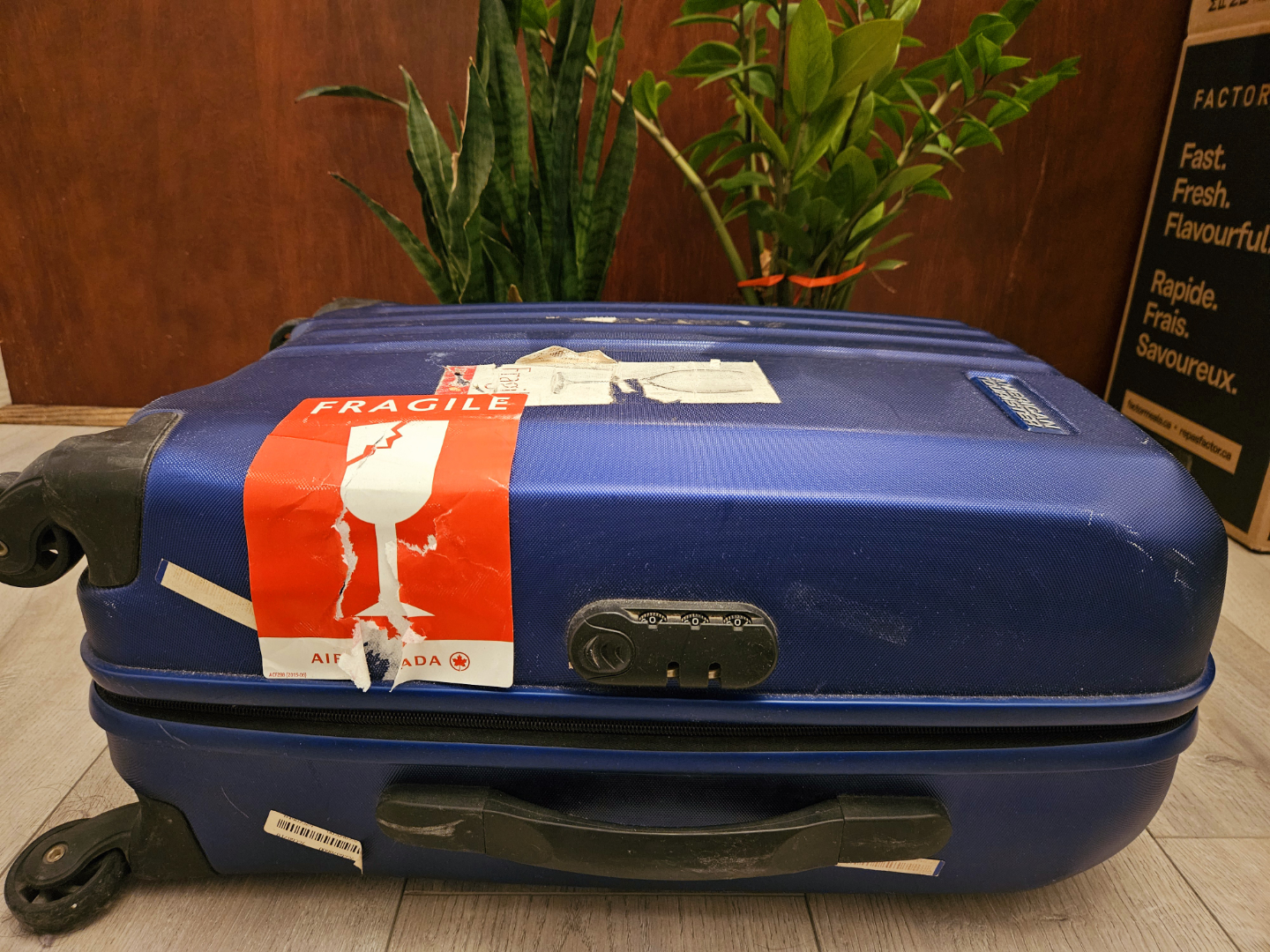 Moving Out Sale‼️American Tourister Carry-on Suitcase - photo 2