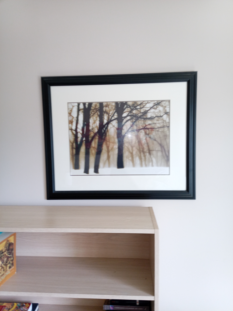 Framed Prints - Variety 8 different lots each photo is on lot - photo 3