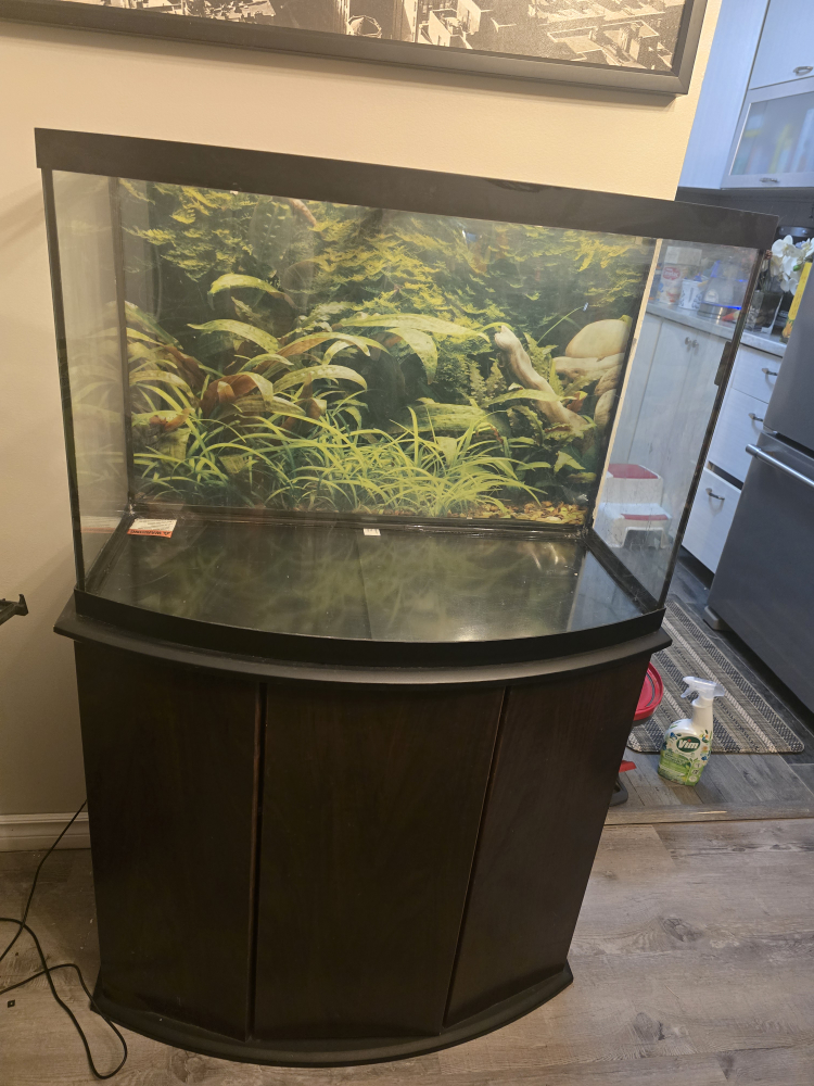 55 Gallon Bowfront Aquarium with Stand