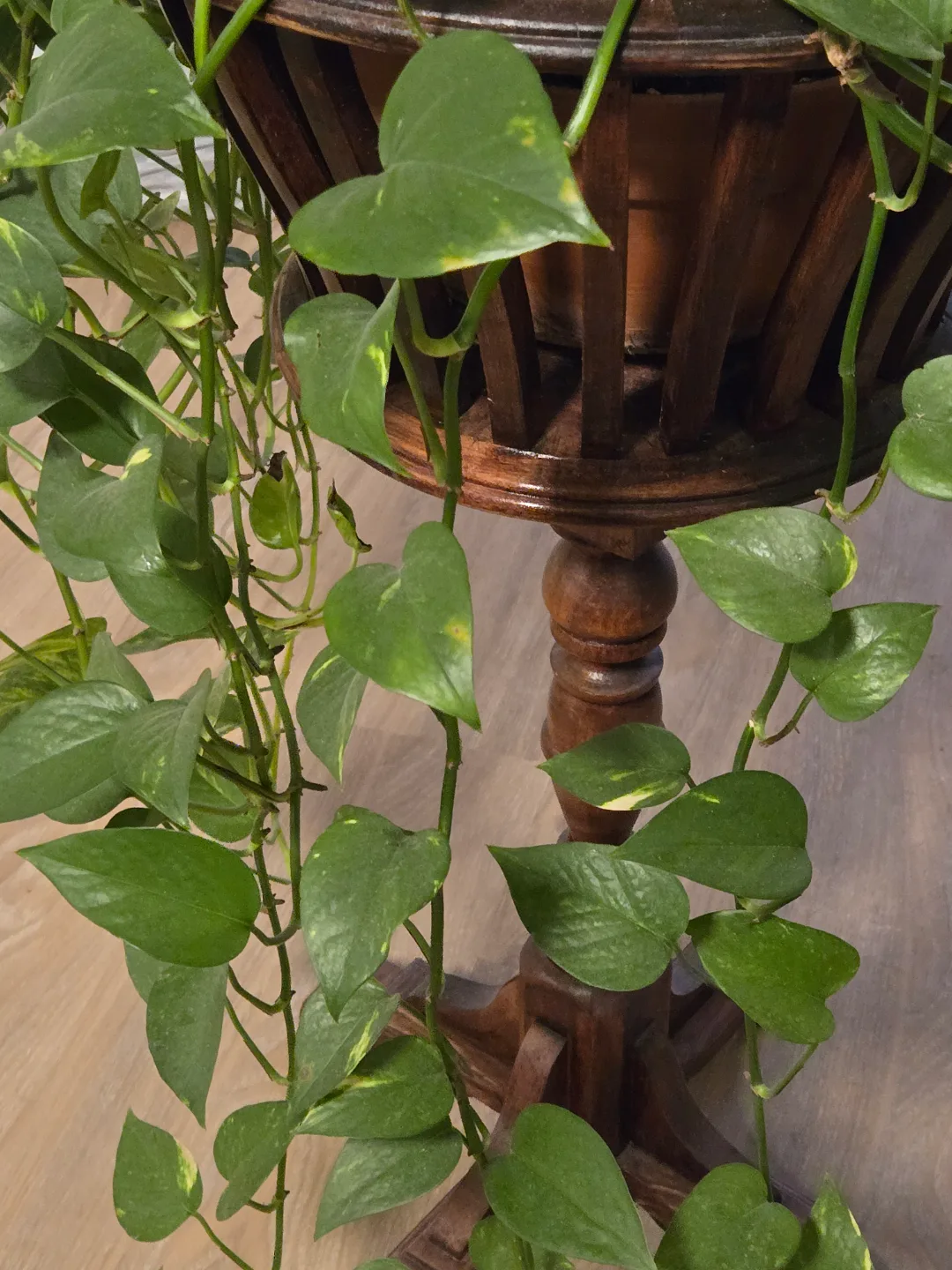 Vintage Wooden Plant Stand with Hanging Plant image indicator(2)