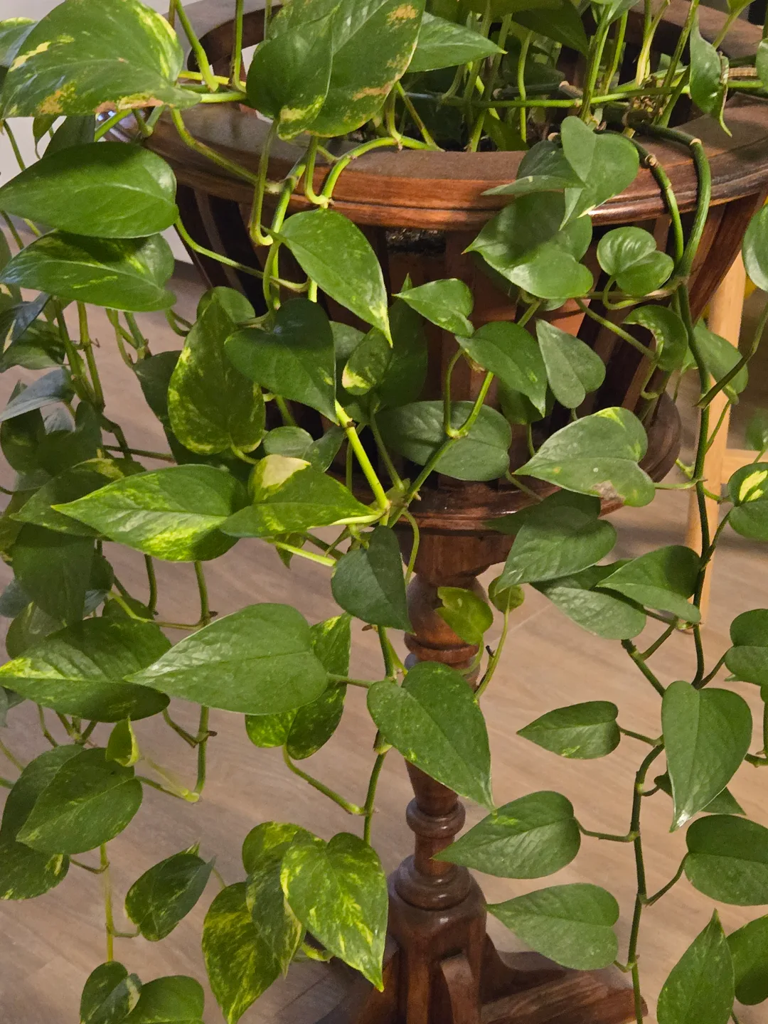 Vintage Wooden Plant Stand with Hanging Plant image indicator(3)