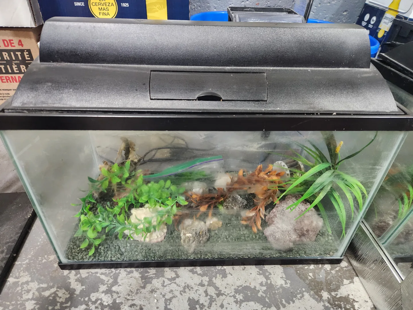 Marineland Aquarium Kit - 10 Gallon thumbnail