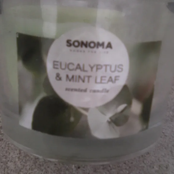 Sonoma Eucalyptus & Mint Leaf Scented Candle 💚 image indicator(2)