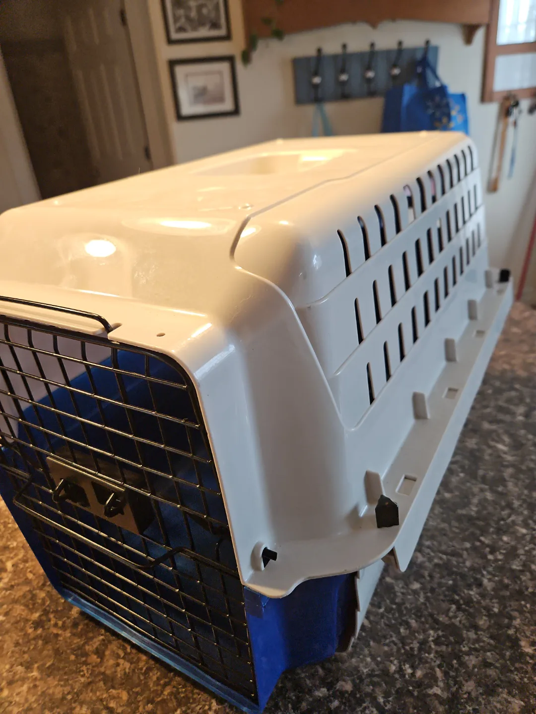Pet Carrier Airline Approved Small Animal Cage thumbnail