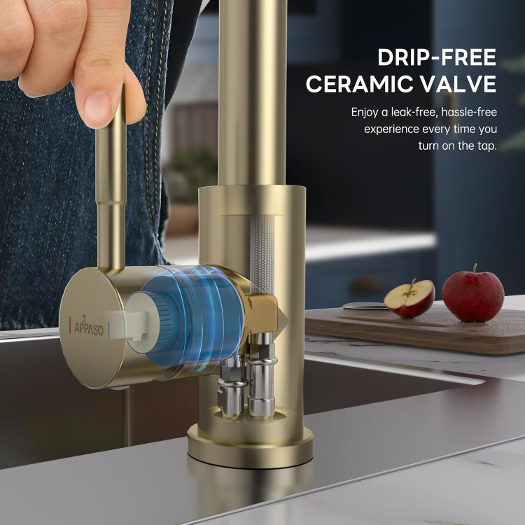 Appaso Brushed Gold Kitchen Faucet with Pull-Down Sprayer - photo 5
